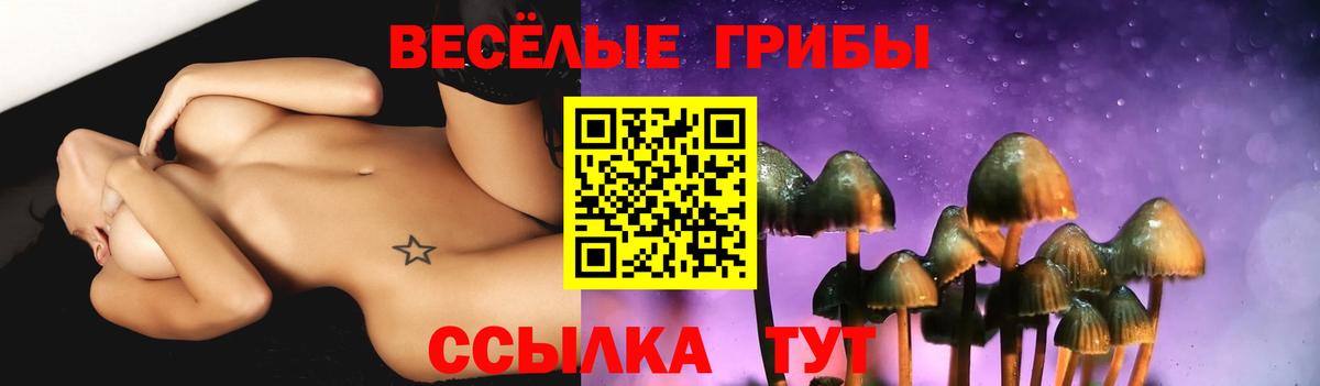 Псилоцибиновые грибы Magic Shrooms  Вход с VPN  Асбест 